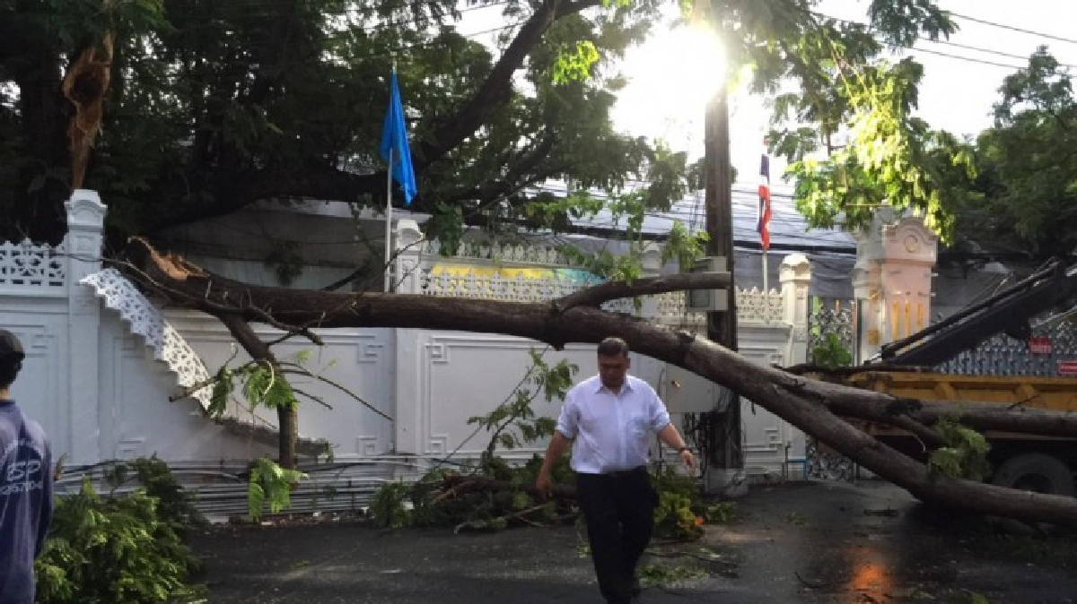  "ต้นนนทรี"ทำเนียบฯโค่นทับรั้วพัง 
