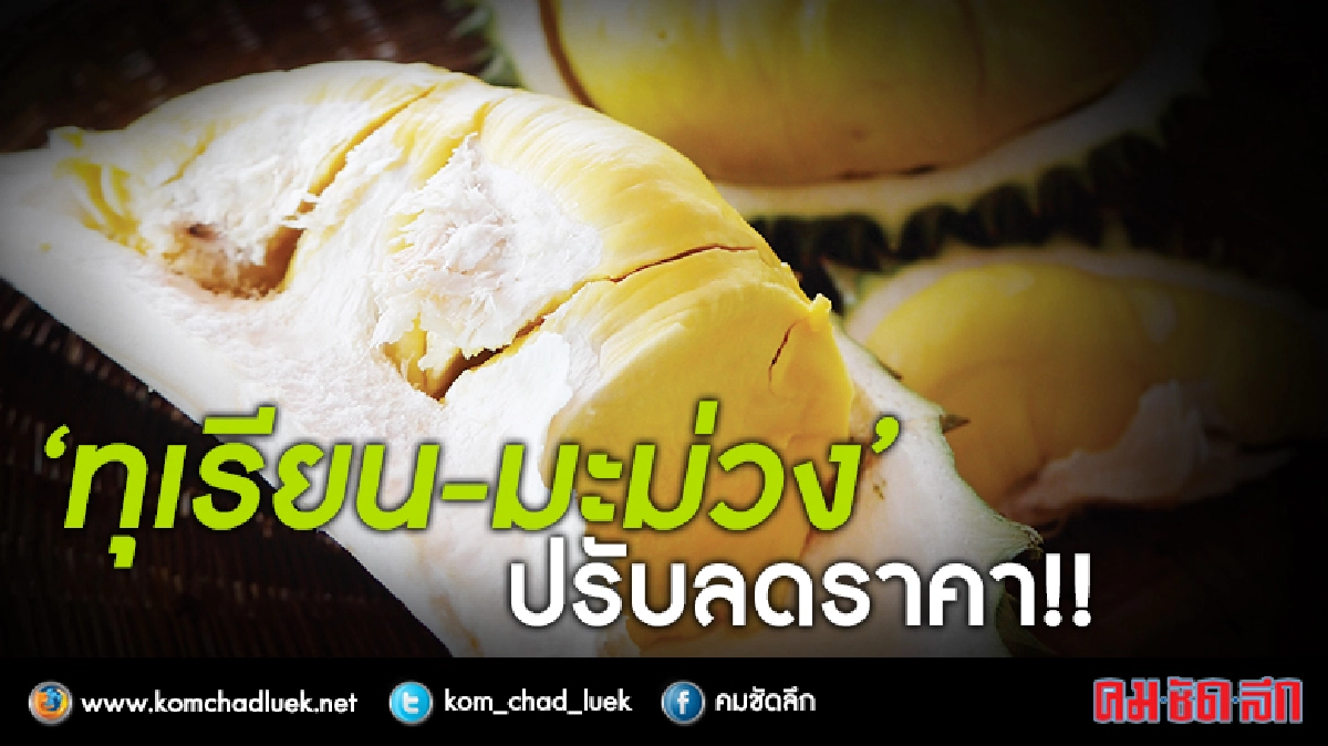 ปรับ!ลดราคา"ผัก-ผลไม้" ปรับ!ลดราคา"ผัก-ผลไม้"
