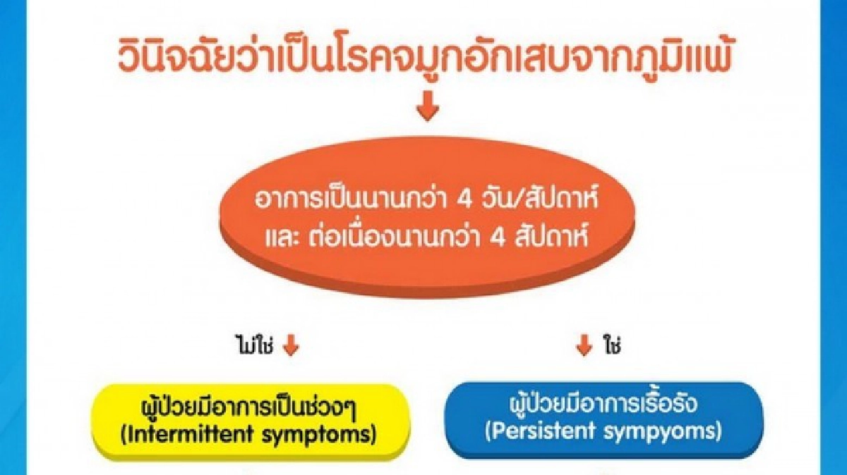 อัดแน่นความรู้เพื่อผู้ป่วยภูมิแพ้ อัดแน่นความรู้เพื่อผู้ป่วยภูมิแพ้