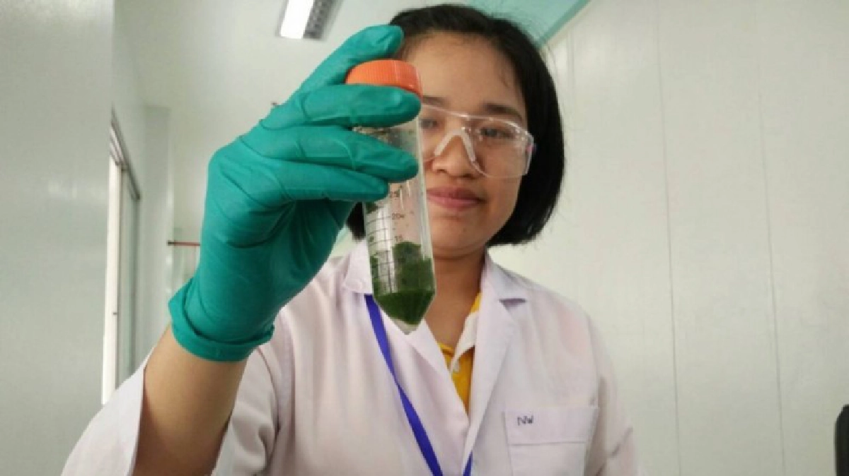 กรมวิทย์เปิดแล็ปตรวจสารกำจัดศัตรูพืชกว่า500ชนิดแห่งแรกของไทย