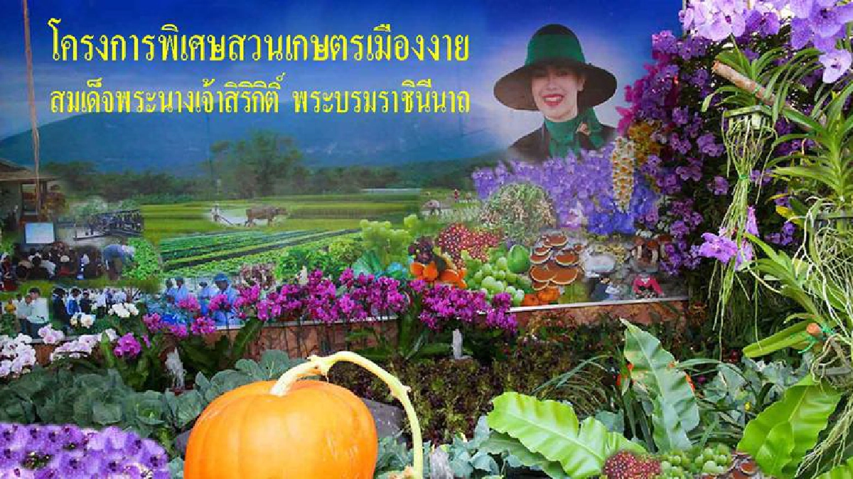 โครงการพิเศษสวนเกษตรเมืองงายสมเด็จพระนางเจ้าฯพระบรมราชินีนาถ โครงการพิเศษสวนเกษตรเมืองงายสมเด็จพระนางเจ้าฯพระบรมราชินีนาถ