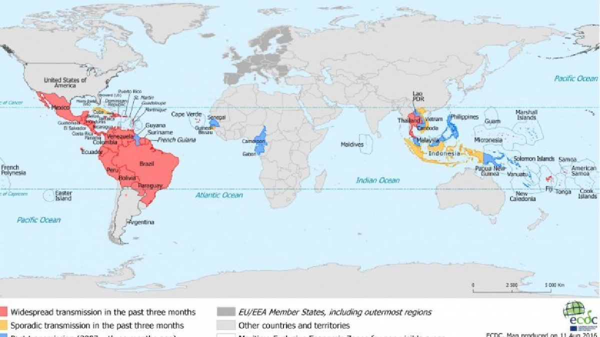 ยุโรปจัดไทยพื้นที่สีแดงโรคซิกา คร.แจงเพราะระบบเฝ้าระวังดี 