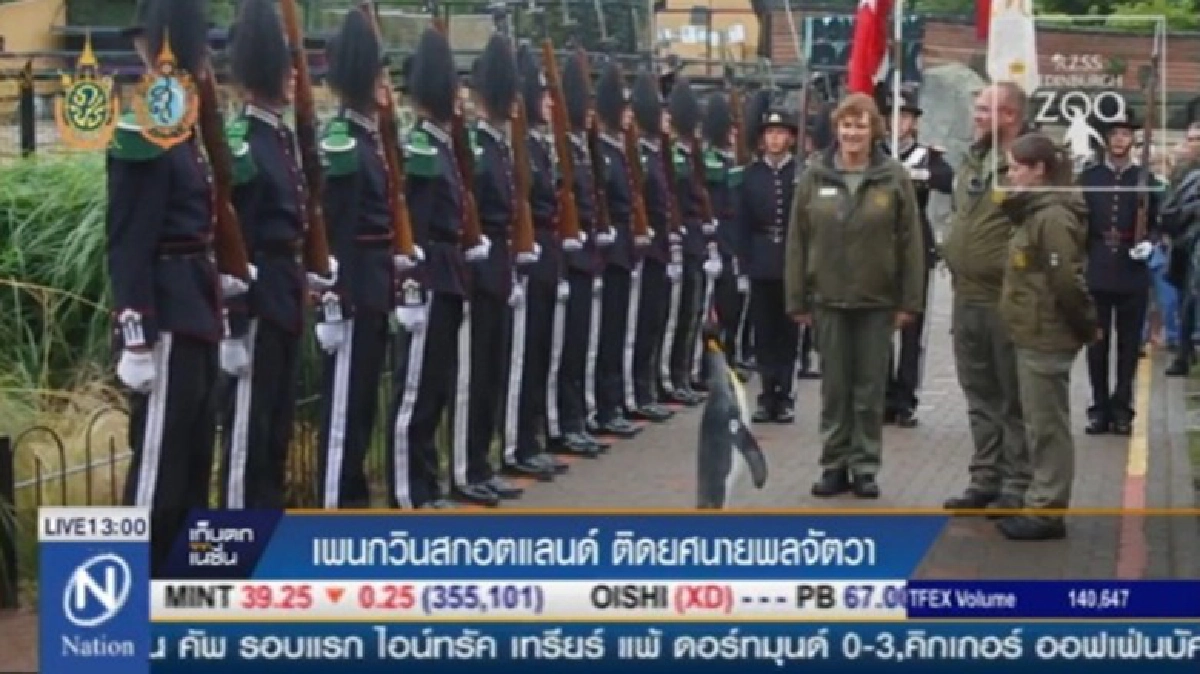 เพนกวินอัศวิน โอลาฟ ประดับยศนายพลจัตวา