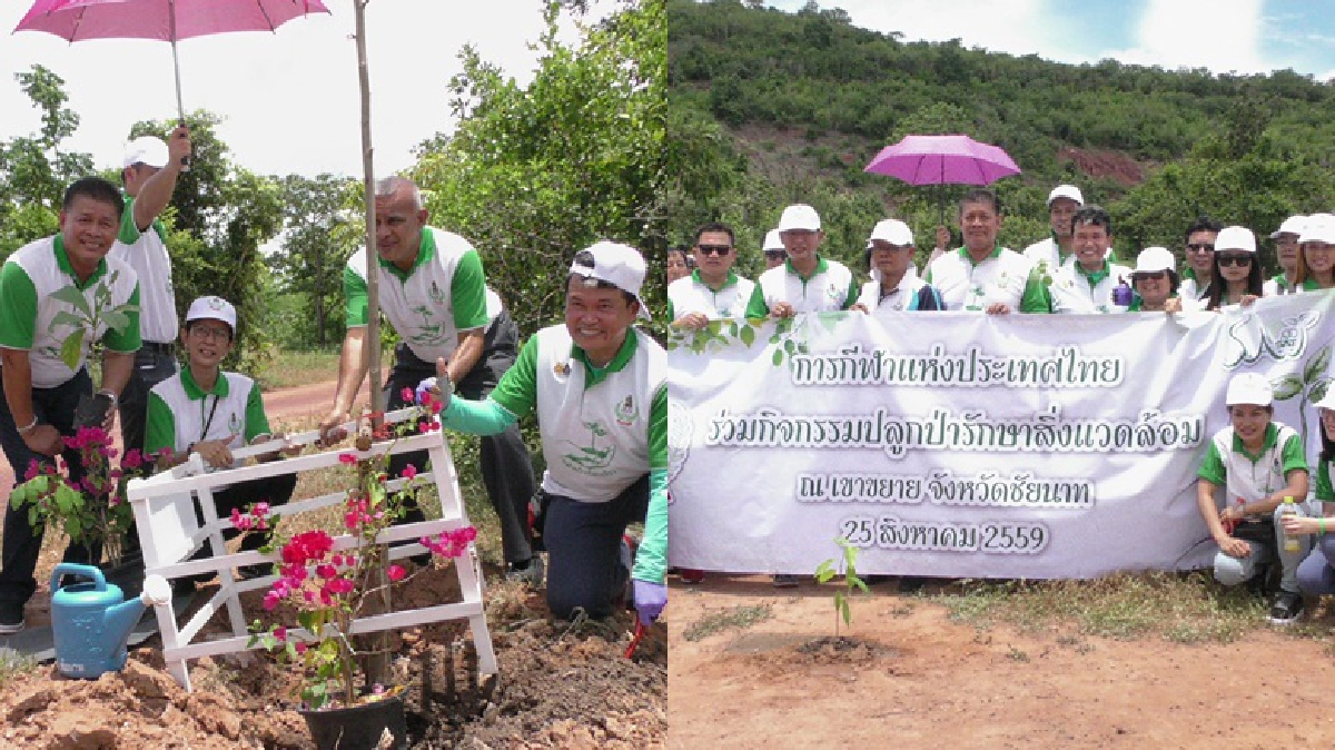 ปลูกป่าสานพลังพลิกฟื้นเขาขยายเป็นเขาสวรรค์ ปลูกป่าสานพลังพลิกฟื้นเขาขยายเป็นเขาสวรรค์