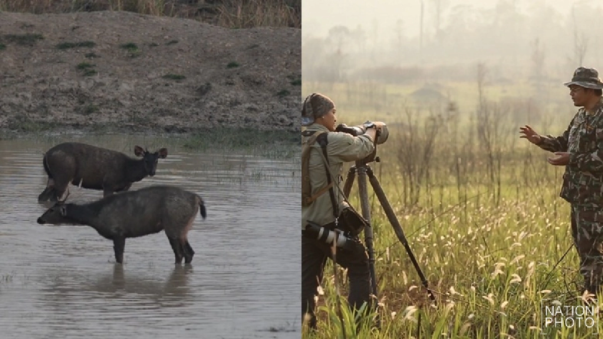 อุทิศชีวิตให้แก่สัตว์ป่าและงานที่รักใน Full Frame อุทิศชีวิตให้แก่สัตว์ป่าและงานที่รักใน Full Frame