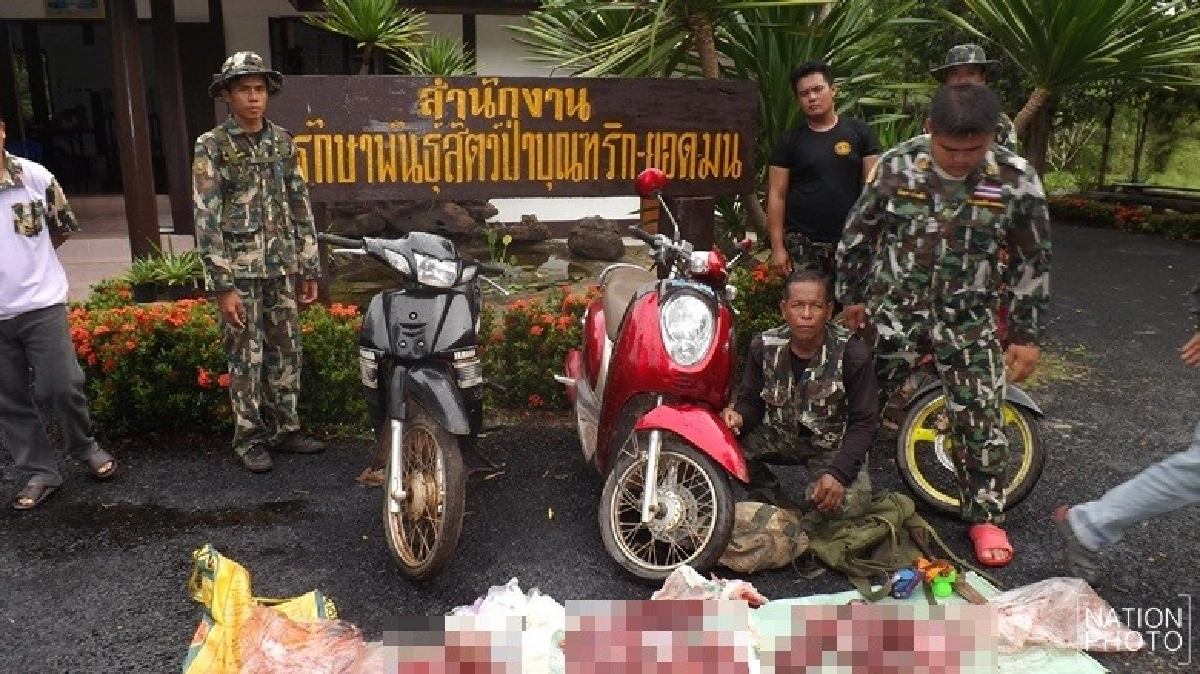 ยึดซากเก้งถูกล่าในเขตรักษาพันธุ์สัตว์ป่า ยึดซากเก้งถูกล่าในเขตรักษาพันธุ์สัตว์ป่า