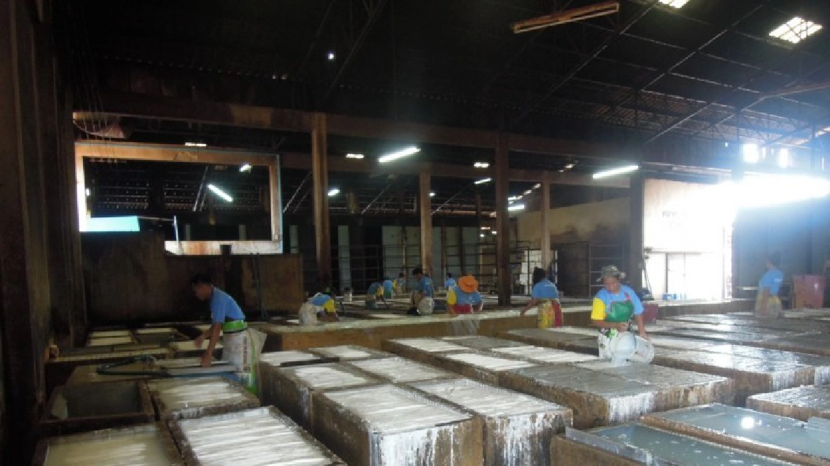 เชื่อมีเงื่อนงำ!ไม่ซื้อยางอีสาน แนะเกษตรกรเลิกใช้ซัลฟิวริก! เชื่อมีเงื่อนงำ!ไม่ซื้อยางอีสาน แนะเกษตรกรเลิกใช้ซัลฟิวริก!