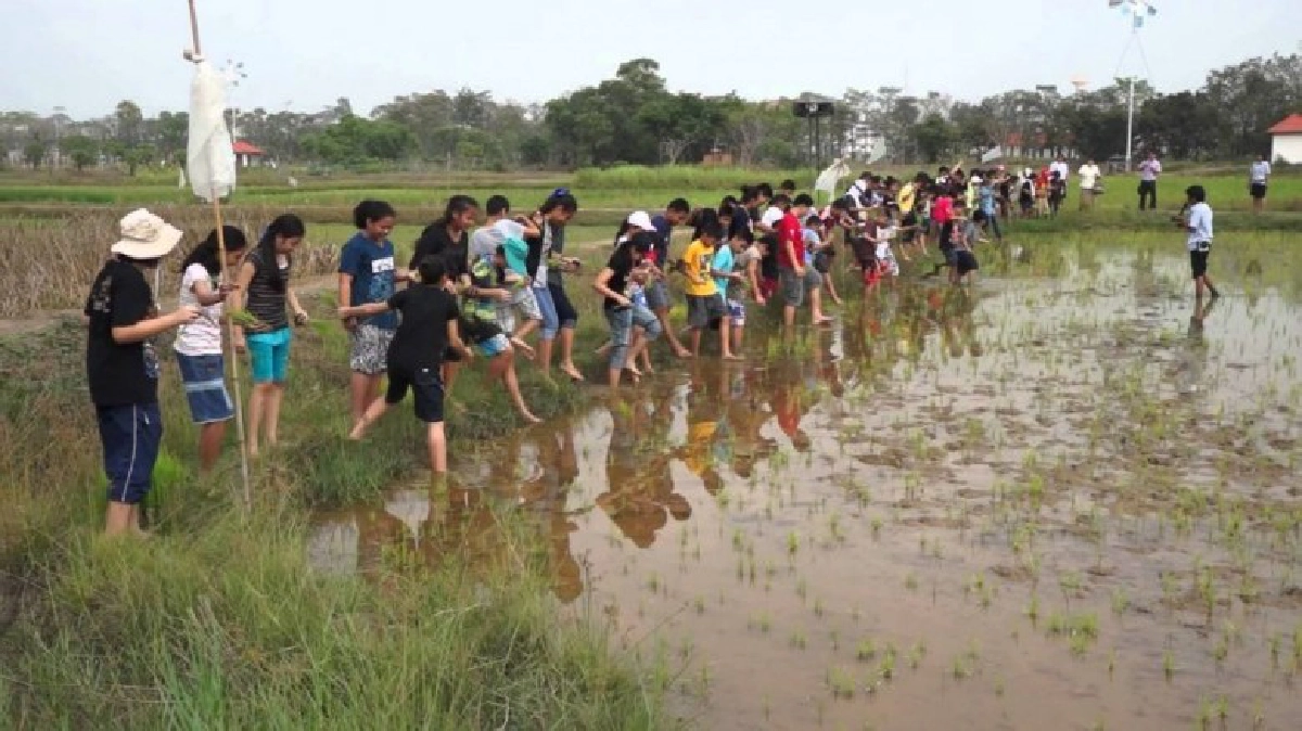 พิพิธภัณฑ์เกษตรฯชวนสัมผัสกลิ่นไอบ้านนา-อบรมอาชีพ พิพิธภัณฑ์เกษตรฯชวนสัมผัสกลิ่นไอบ้านนา-อบรมอาชีพ