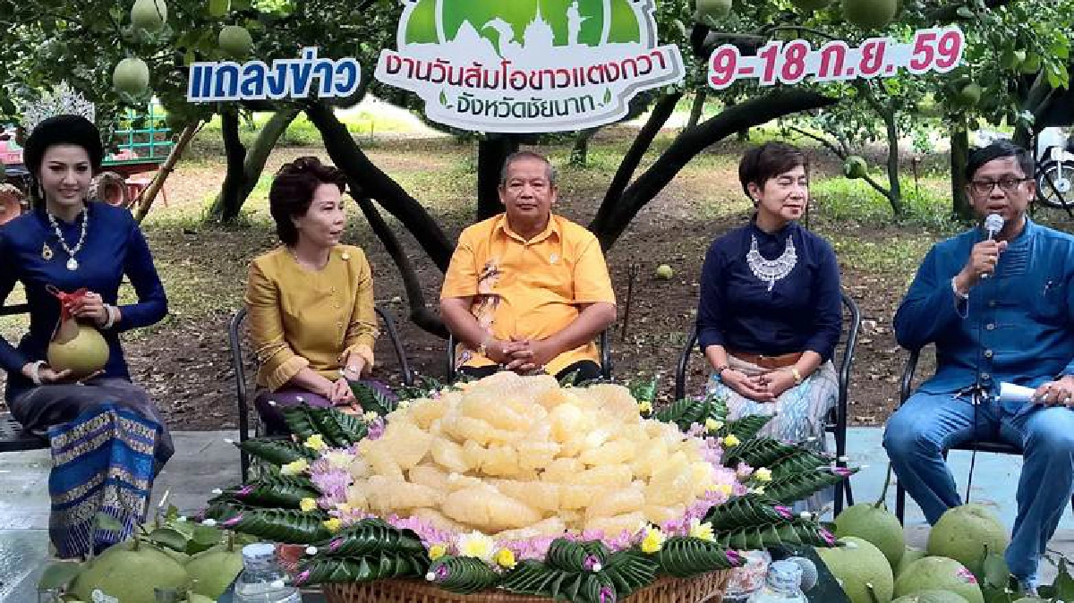 ส้มโอขาวแตงกวาชัยนาท ส้มโอทรงเสวย ส้มโอขาวแตงกวาชัยนาท ส้มโอทรงเสวย