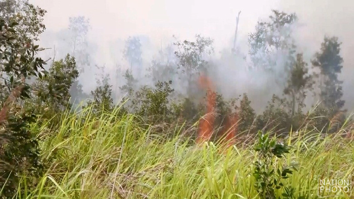 ไฟป่าพรุยังลุกลามต่อเนื่อง3อำเภอเมืองคอน