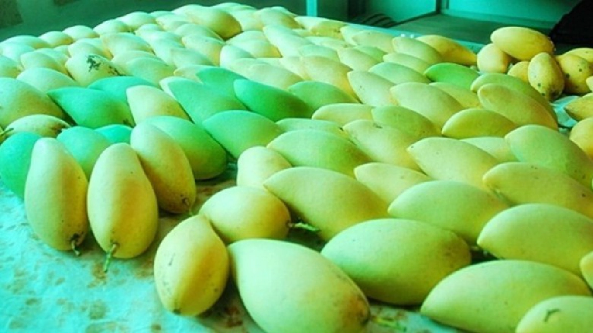 ชี้โอกาสส่งออกสินค้า"เกษตร-อาหาร"ตีตลาดเกาหลีใต้!