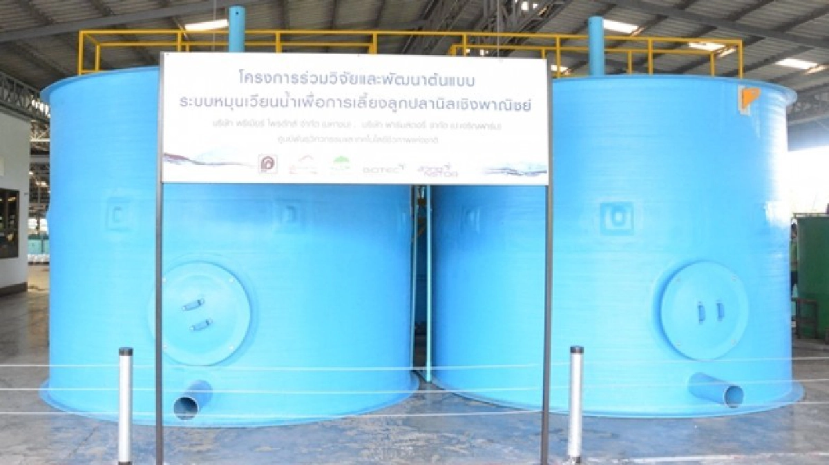 ร่วมวิจัยต้นแบบ"ระบบน้ำหมุนเวียน"เลี้ยงลูกปลานิลเชิงพาณิชย์!