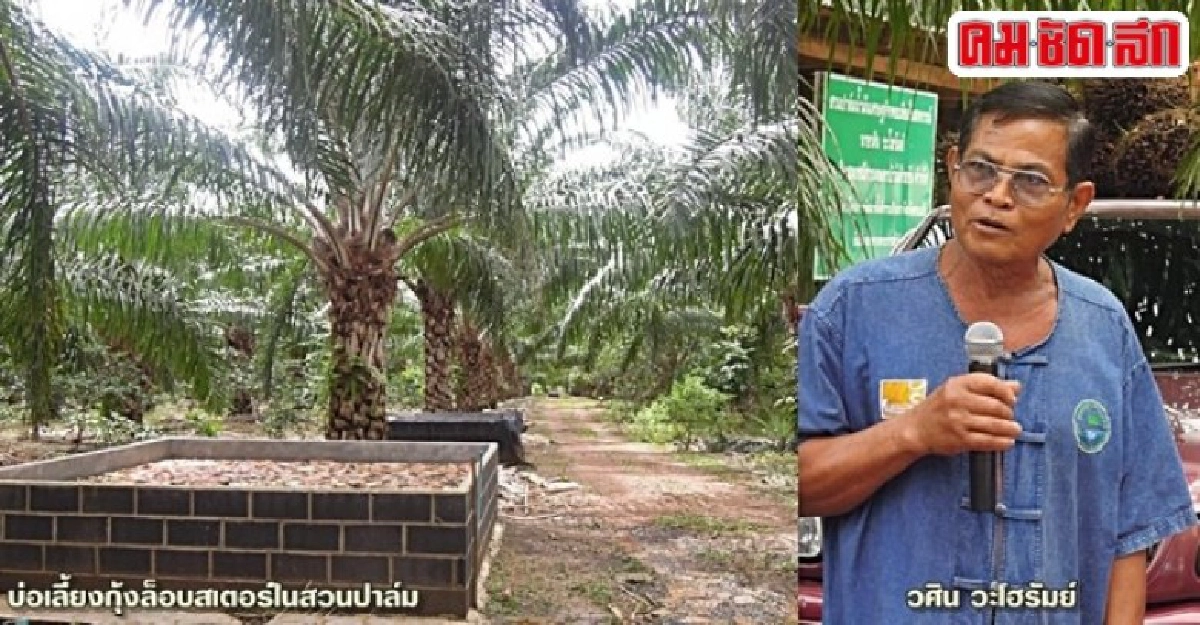 เพิ่มปริมาณน้ำ“อ่างฯพระปรง”มุ่งภาคเกษตร-รักษานิเวศน์ เพิ่มปริมาณน้ำ“อ่างฯพระปรง”มุ่งภาคเกษตร-รักษานิเวศน์