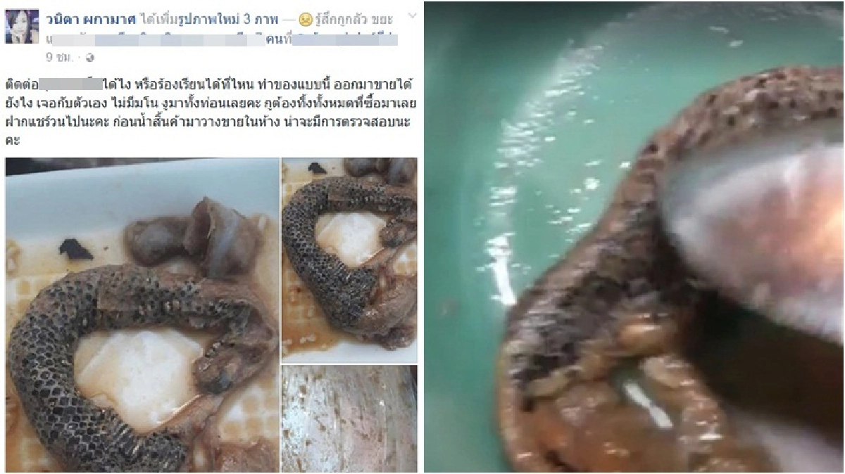 ช๊อค! แกะถุงปลาร้าเจองูทั้งท่อน