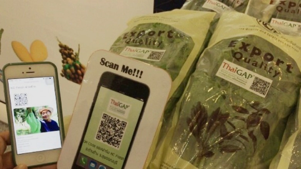 ผู้บริโภคตื่นตัวรับตลาดเกษตรผ่านไอที! ยอดขาย-ผู้เข้าชมพุ่ง! ผู้บริโภคตื่นตัวรับตลาดเกษตรผ่านไอที! ยอดขาย-ผู้เข้าชมพุ่ง!