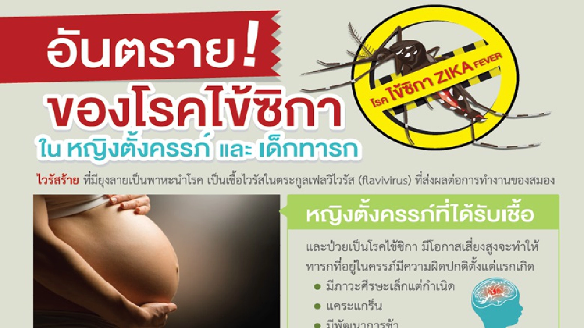 เปิดหรือปิด'ไวรัสซิกา'...บทเรียนสิงคโปร์ถึง'ไทย' 