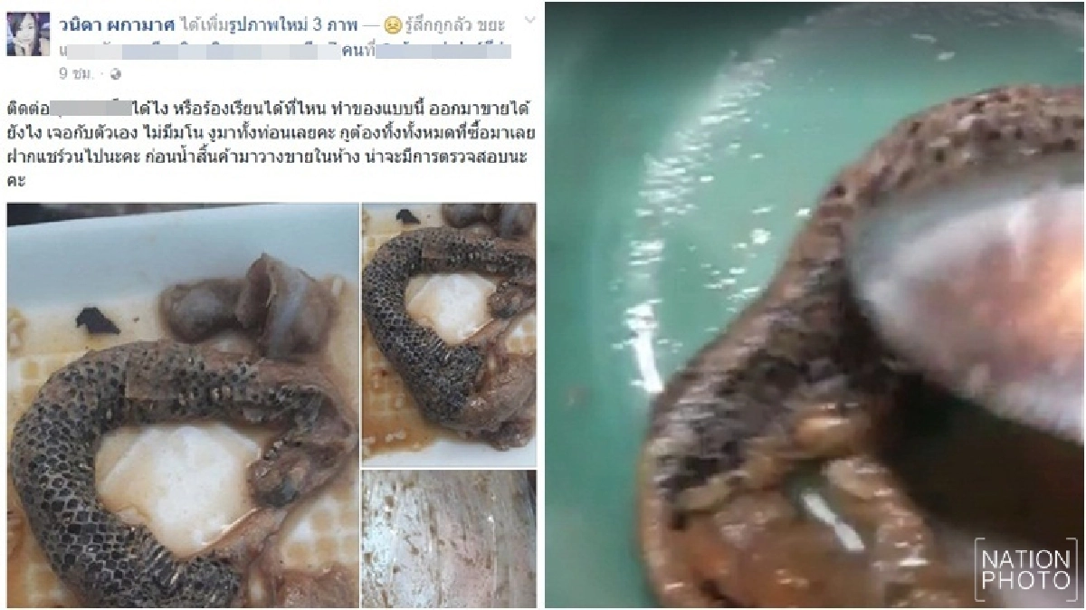 แม่ค้าโพสต์ปลาร้างูร้องสคบ.ภูเก็ตหวังให้ตรวจสอบ