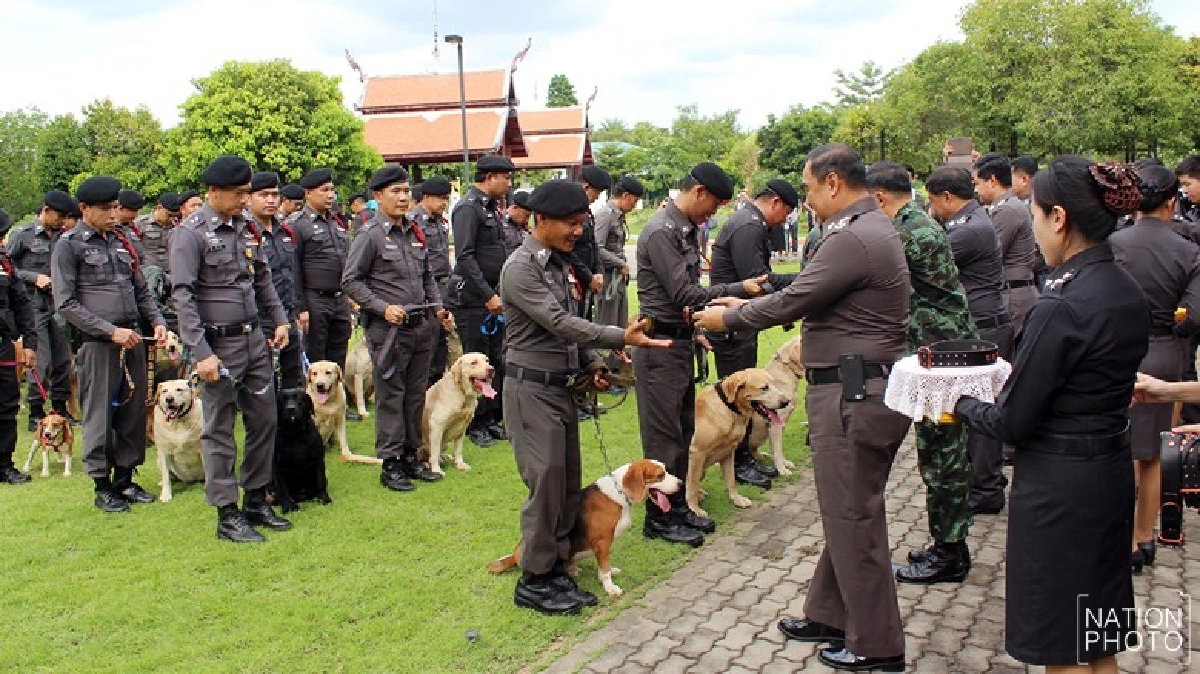 ติดยศ111สุนัขตำรวจตรีครั้งแรกของไทย ติดยศ111สุนัขตำรวจตรีครั้งแรกของไทย