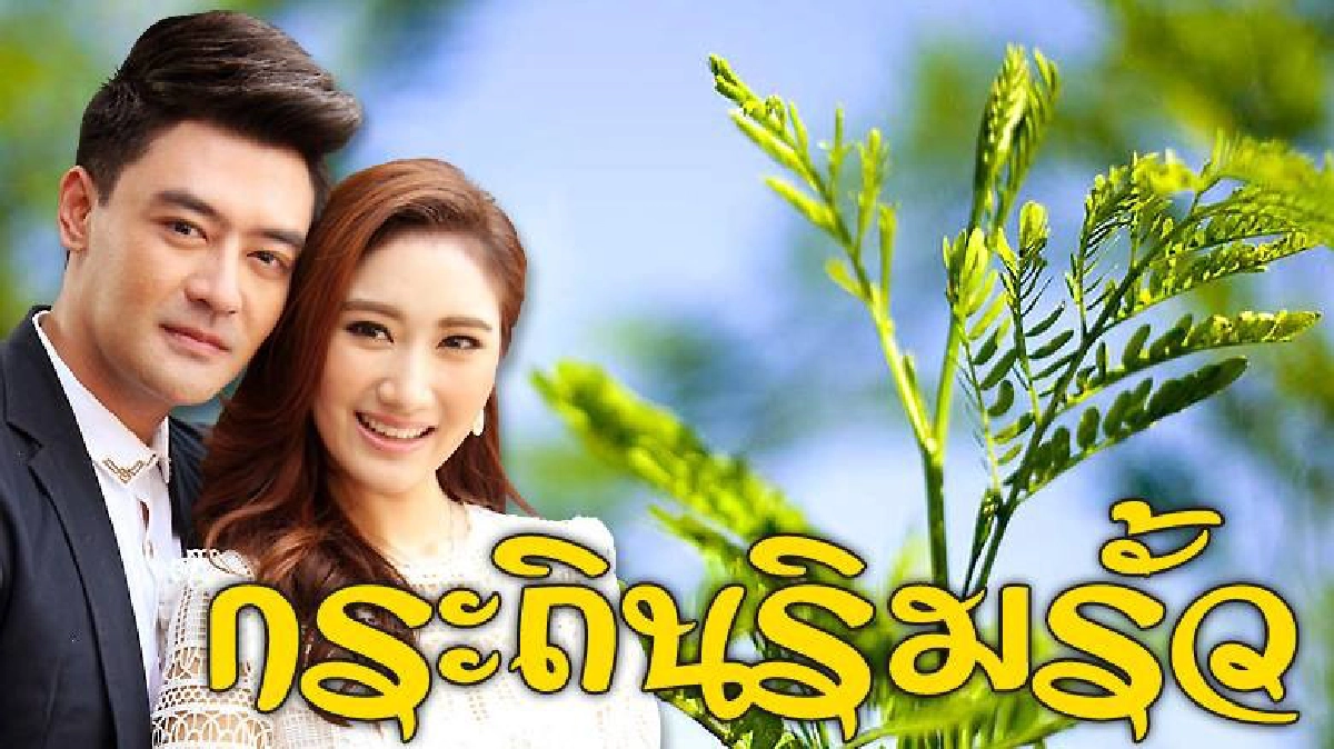 จอแก้ว เรื่องย่อ กระถินริมรั้ว จอแก้ว เรื่องย่อ กระถินริมรั้ว