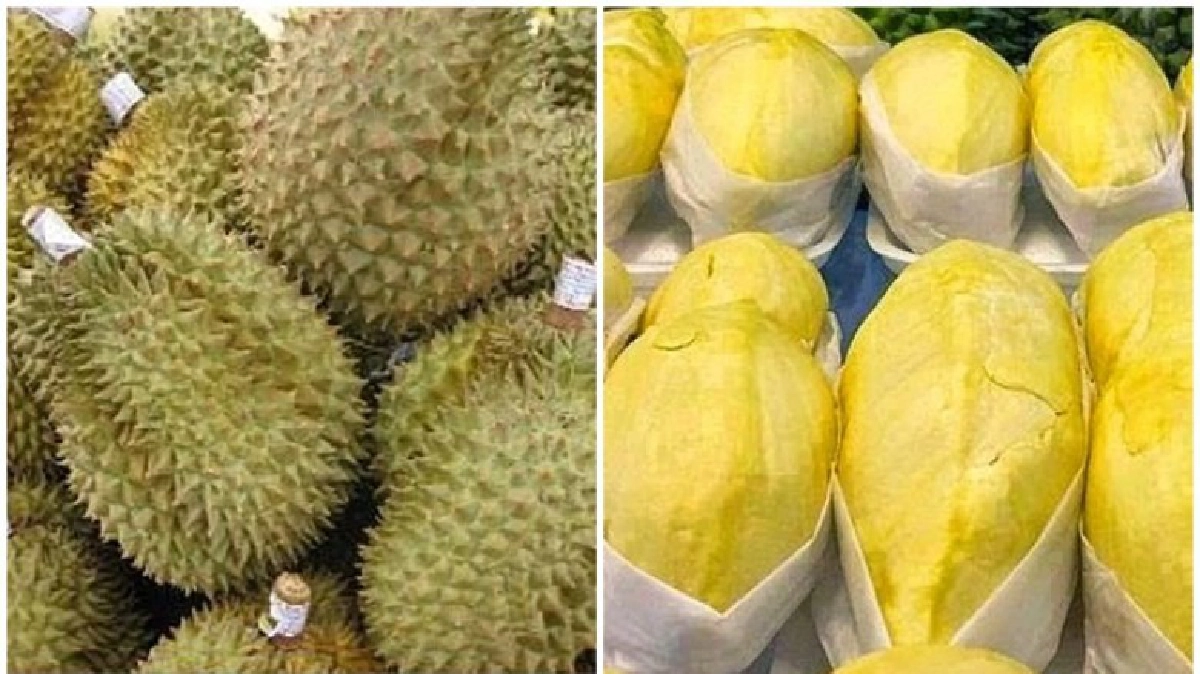 "ทุเรียน"ปรับลด!-มะเขือม่วงปรับขึ้น10บาท! "ทุเรียน"ปรับลด!-มะเขือม่วงปรับขึ้น10บาท!
