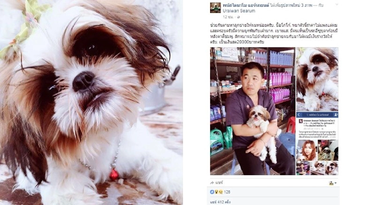 น้องหมาถูกลัก!!ได้คืนจ่าย2หมื่น น้องหมาถูกลัก!!ได้คืนจ่าย2หมื่น