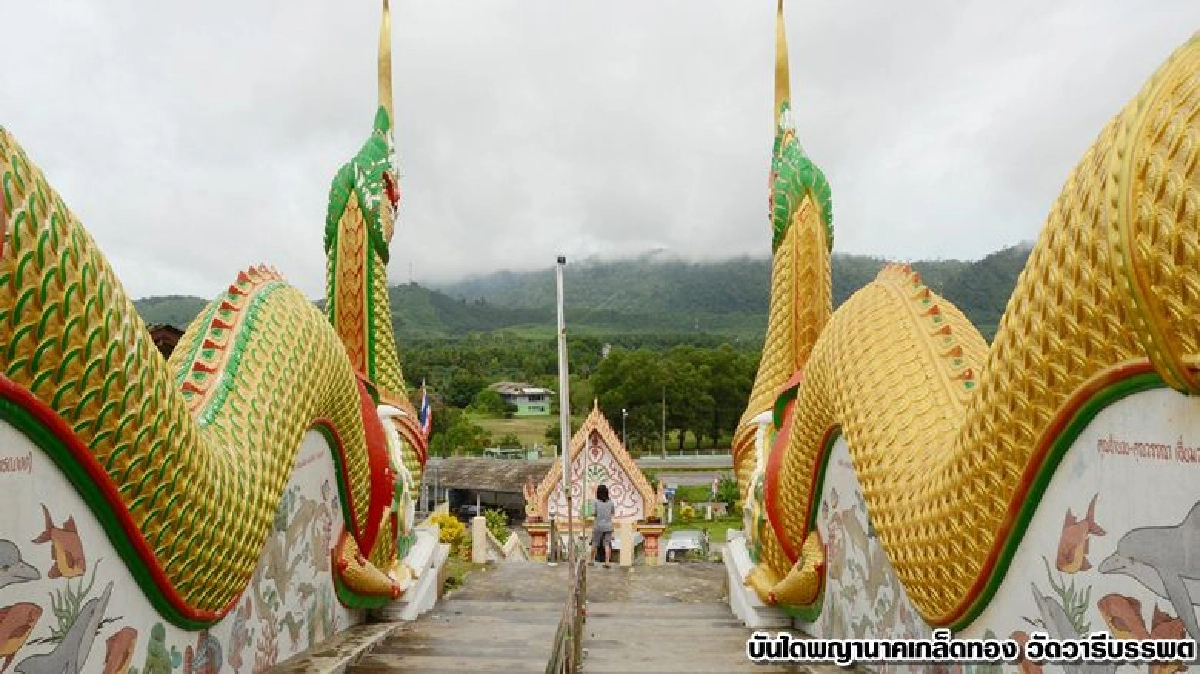 แช่น้ำพุร้อน ระนองฉ่ำฝน แช่น้ำพุร้อน ระนองฉ่ำฝน