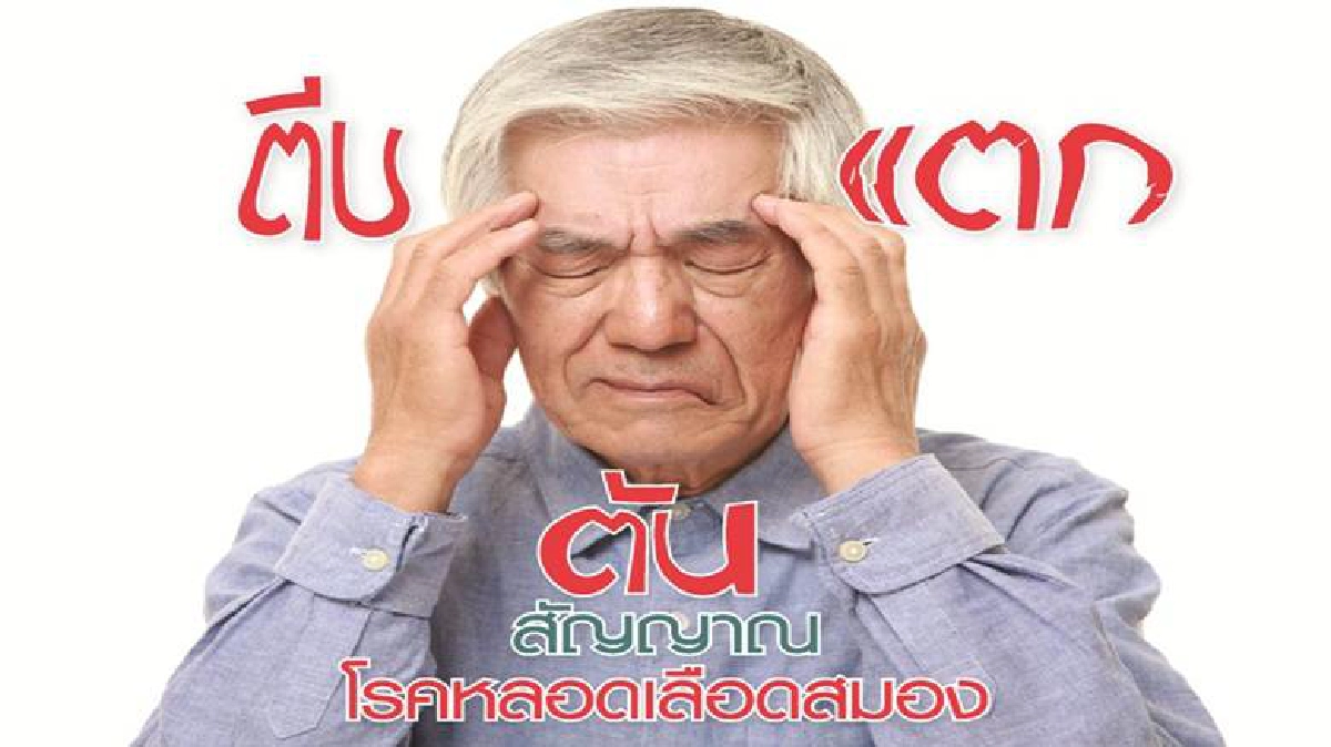 ตีบ แตก ตัน...สัญญาณโรคหลอดเลือดสมอง ตีบ แตก ตัน...สัญญาณโรคหลอดเลือดสมอง