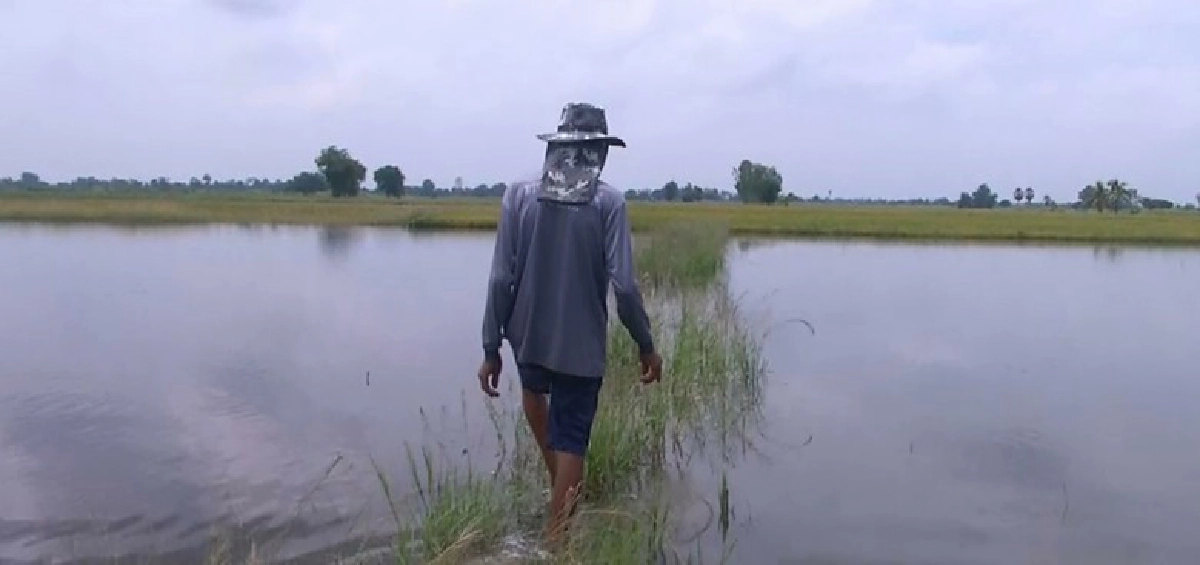 นำร่อง10จว.เคลื่อนAgri-Mapปรับการผลิต“พื้นที่ไม่เหมาะสม" นำร่อง10จว.เคลื่อนAgri-Mapปรับการผลิต“พื้นที่ไม่เหมาะสม"