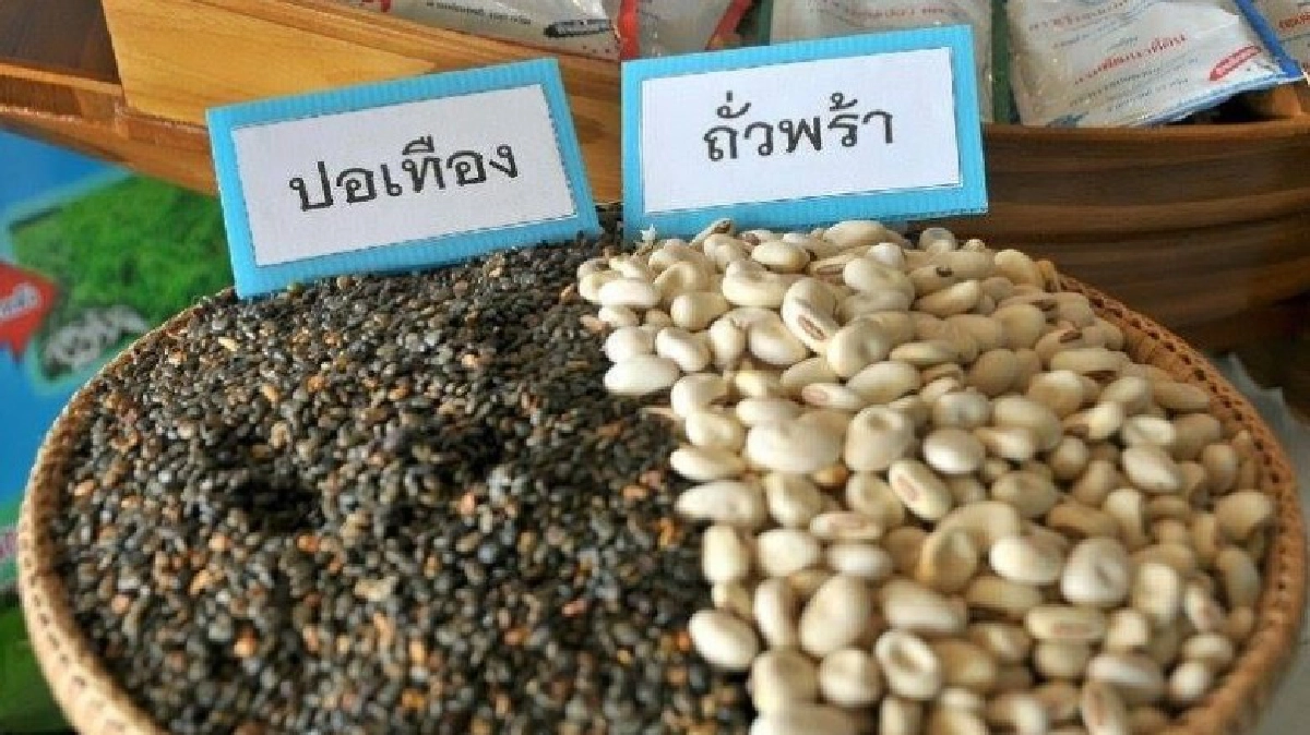 "รับซื้อ-สนับสนุนเมล็ดพันธุ์"พืชปุ๋ยสด ลดปลูกข้าว2แสนไร่!