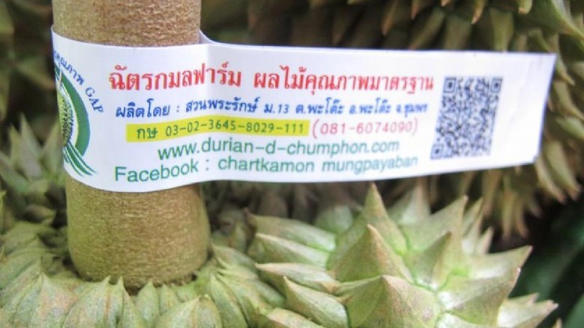 เริ่ม4จังหวัด!"QR Code"ต่อยอดการันตี"พืชผัก-ผลไม้"