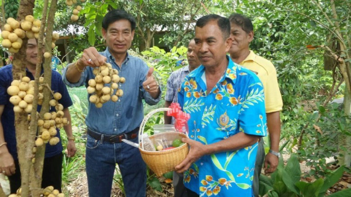 ยกศูนย์ปราชญ์ฯติวเข้มเกษตรกร ยกศูนย์ปราชญ์ฯติวเข้มเกษตรกร