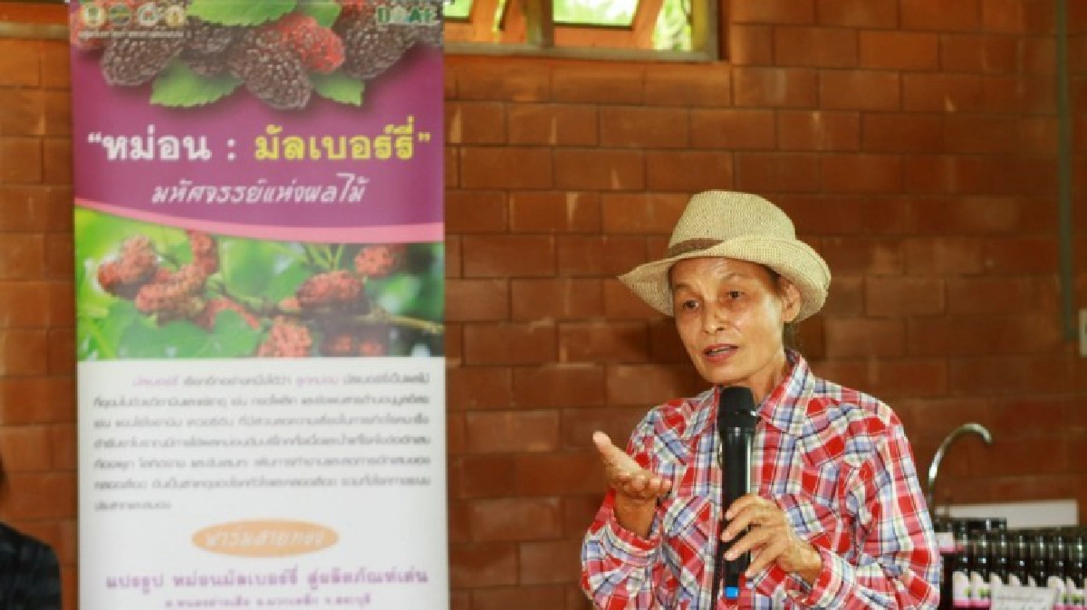 แยม-น้ำมัลเบอร์รี่ของดี"มวกเหล็ก"