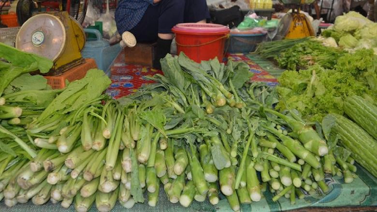 ราคา“ผัก”พุ่งรับเทศกาลกินเจ ราคา“ผัก”พุ่งรับเทศกาลกินเจ
