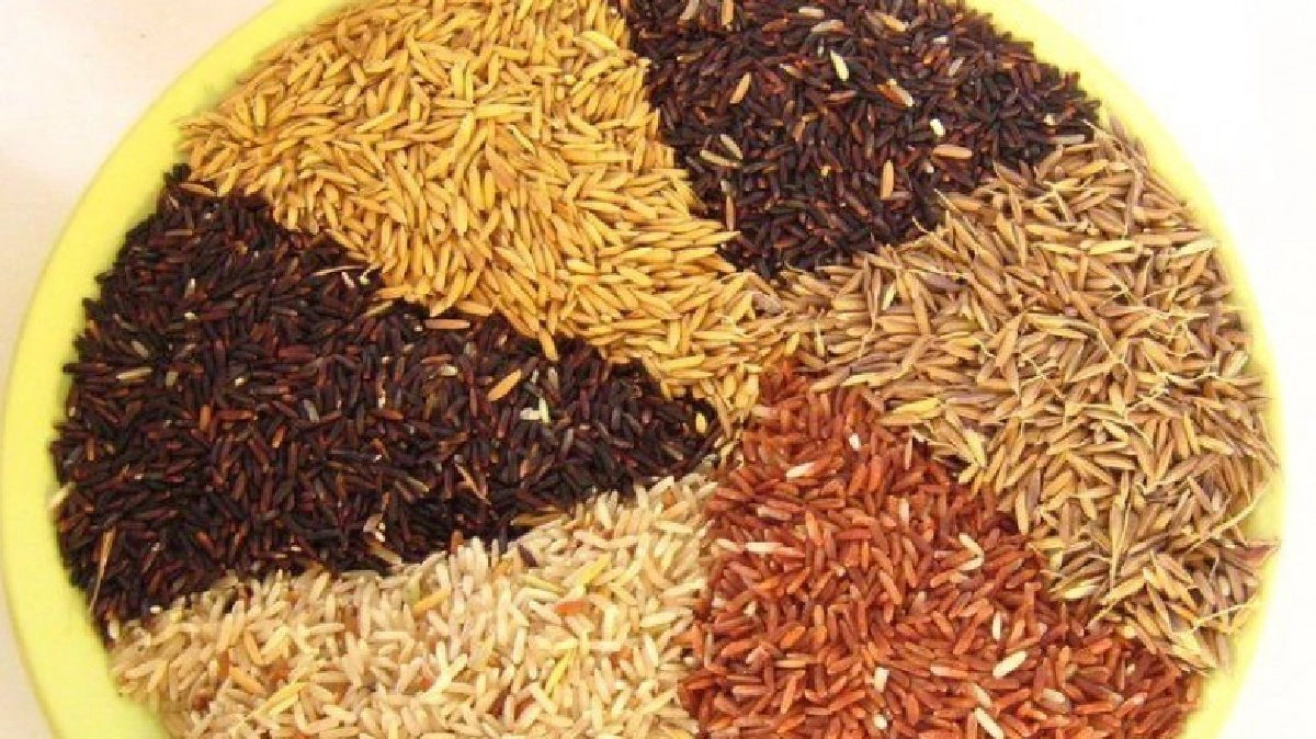 ข้าวกล้อง ข้าวเฉดสี..ข้าวเพื่อสุขภาพ