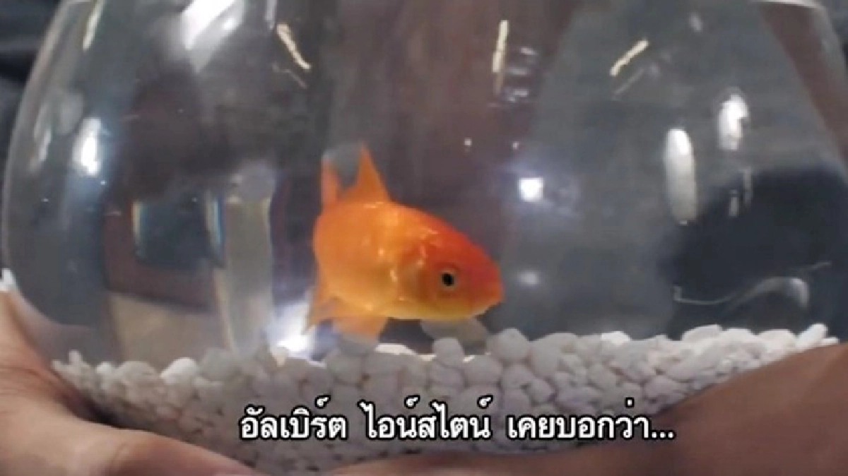 ความจริง!?ปฏิรูประบบการศึกษา ความจริง!?ปฏิรูประบบการศึกษา