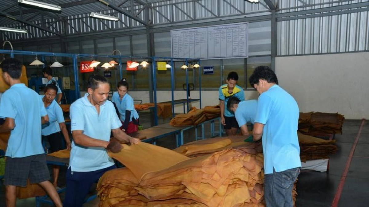 กยท.ยันตลาดยาง RRM ซื้อ-ขายสินค้าจริง