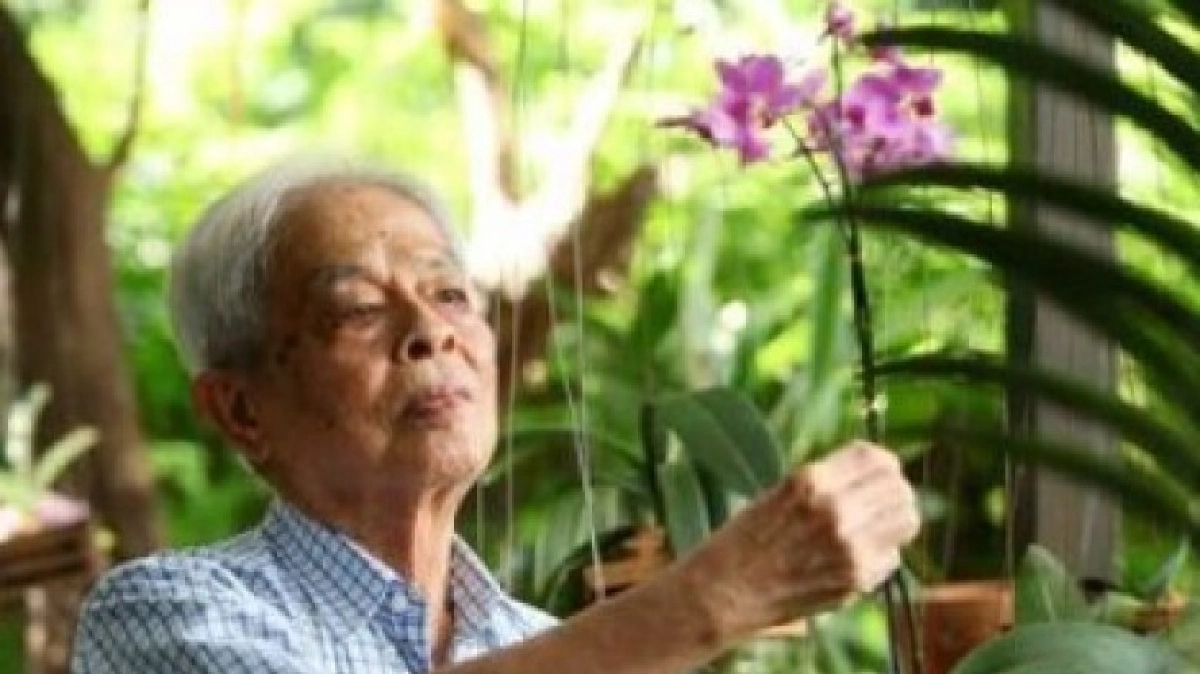 ปัญหาพัฒนากิจการ“กล้วยไม้”ไทย ตอนที่ 8 ปัญหาพัฒนากิจการ“กล้วยไม้”ไทย ตอนที่ 8