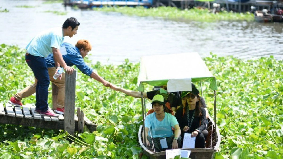 ผักตบชวาผลิตเอทานอล