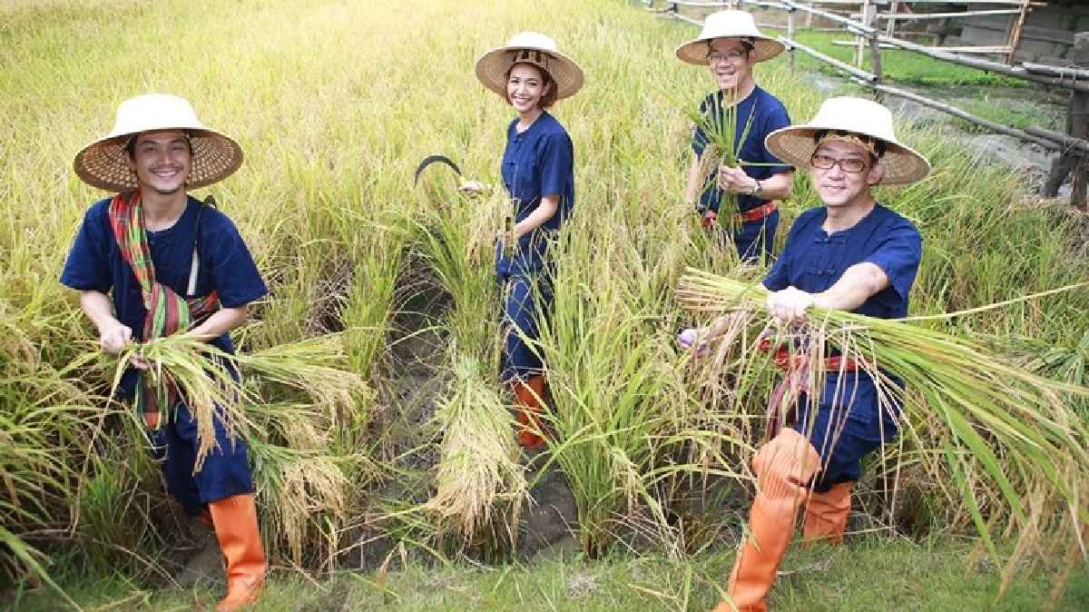 ชวนคนรุ่นใหม่ตระหนักคุณค่าของข้าว