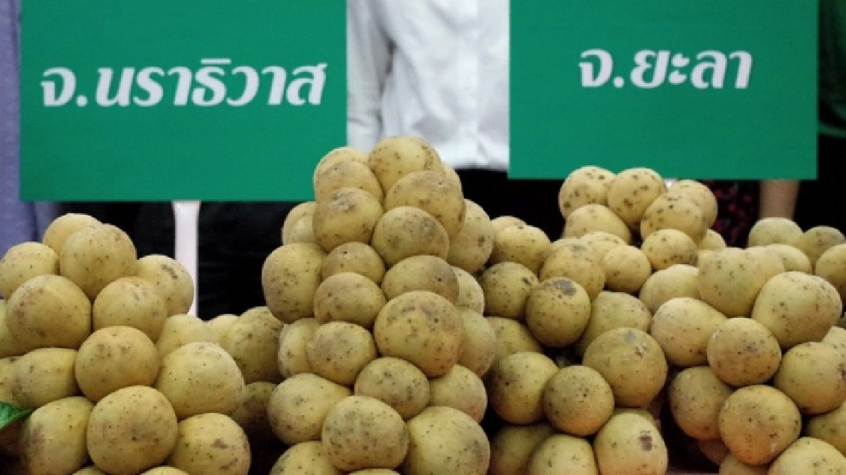 อ.ต.ก.จำหน่าย"ลองกองใต้"1เดือนเต็ม โทรสั่ง ส่งถึงบ้าน!