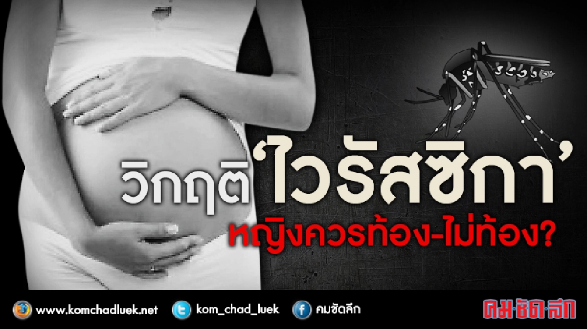 วิกฤติ “ไวรัสซิกา” หญิงควรท้อง-ไม่ท้อง ? วิกฤติ “ไวรัสซิกา” หญิงควรท้อง-ไม่ท้อง ?