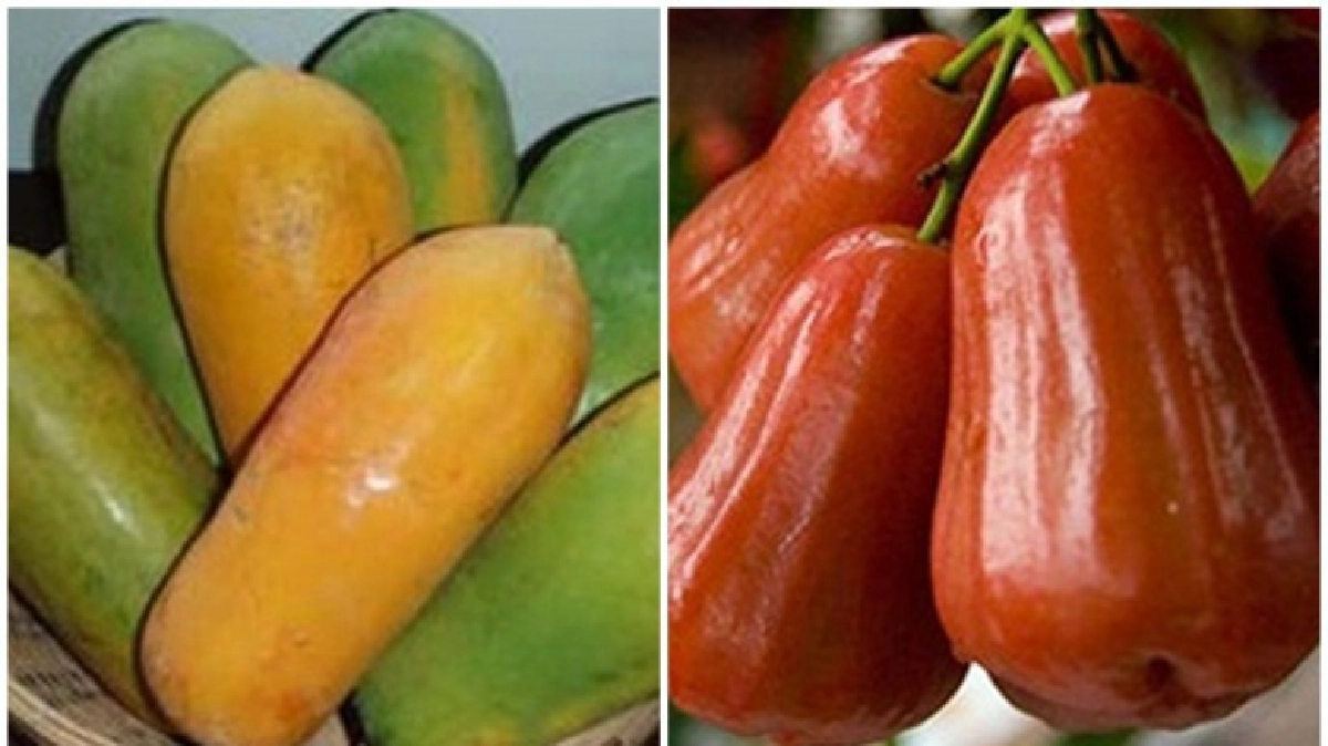 มะละกอฯ-ชมพู่ฯ ปรับลดกก.15บาท! มะละกอฯ-ชมพู่ฯ ปรับลดกก.15บาท!