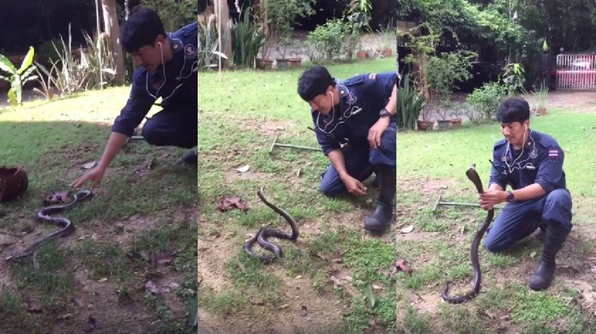 ทายาทของสลิธีริน!?สุดทึ่งสกิลจับงูเห่า