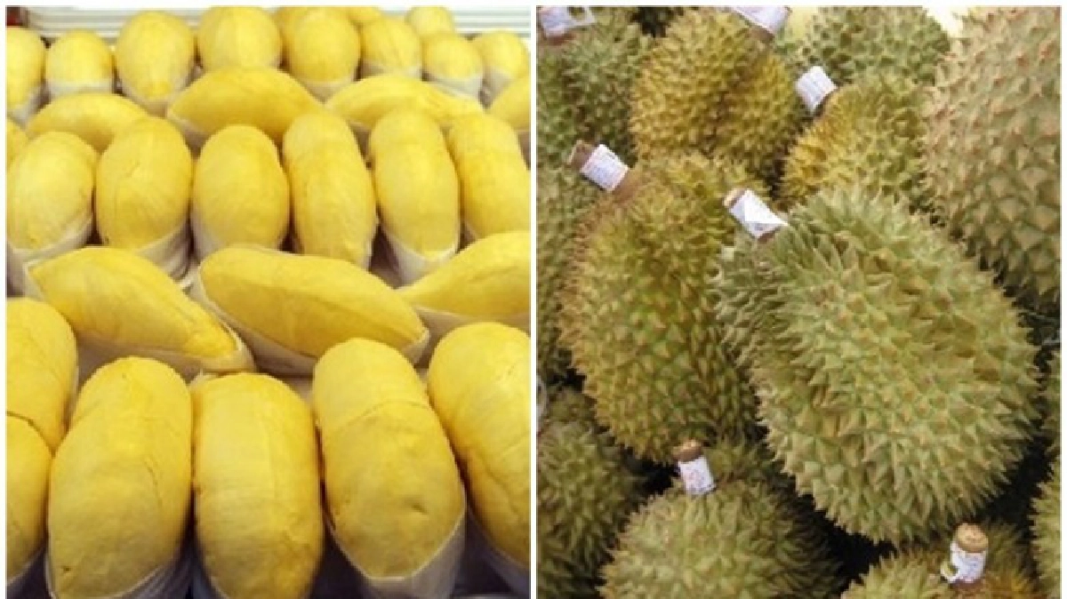 "ทุเรียน"ลด15บาท! กวางตุ้งพุ่งรับกินเจ!