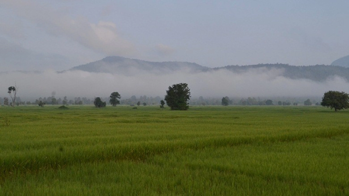 ปลายฝนต้นหนาว“อ.ชาติตระการ”หมอกจัดอากาศเย็น ปลายฝนต้นหนาว“อ.ชาติตระการ”หมอกจัดอากาศเย็น