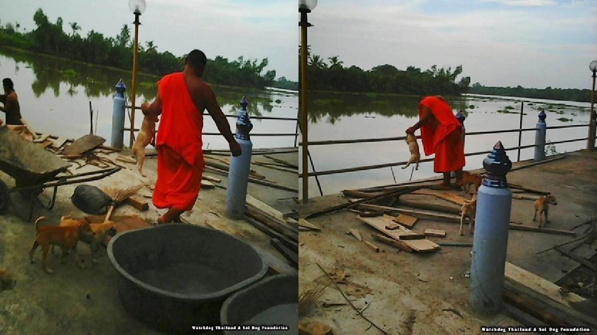 สุดทน! แจ้งจับ ‘เจ้าอาวาส’ ทารุณสัตว์ สุดทน! แจ้งจับ ‘เจ้าอาวาส’ ทารุณสัตว์
