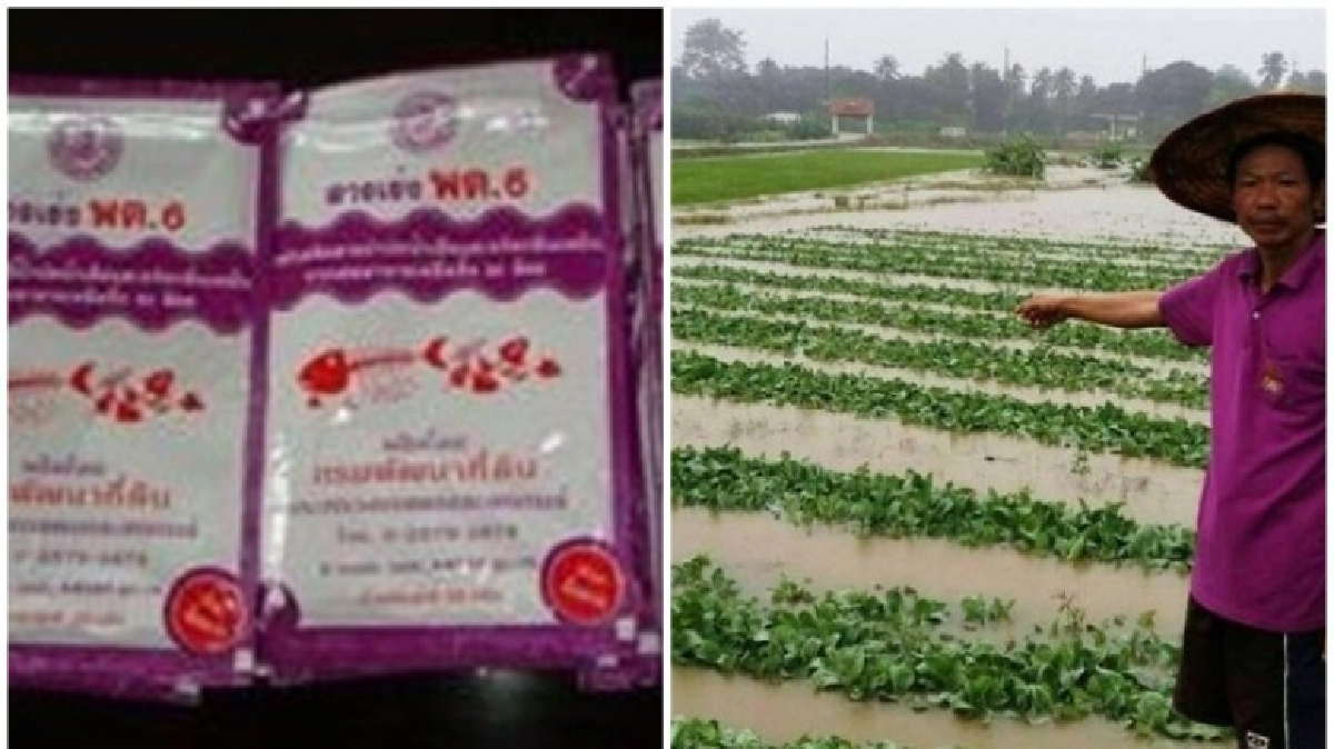 แนะพื้นที่น้ำท่วมใช้สาร พด.6 บำบัดน้ำเสีย! แนะพื้นที่น้ำท่วมใช้สาร พด.6 บำบัดน้ำเสีย!