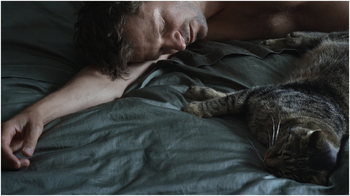 หลากคำถามในภาพยนตร์เรื่อง "TOMCAT" หลากคำถามในภาพยนตร์เรื่อง "TOMCAT"