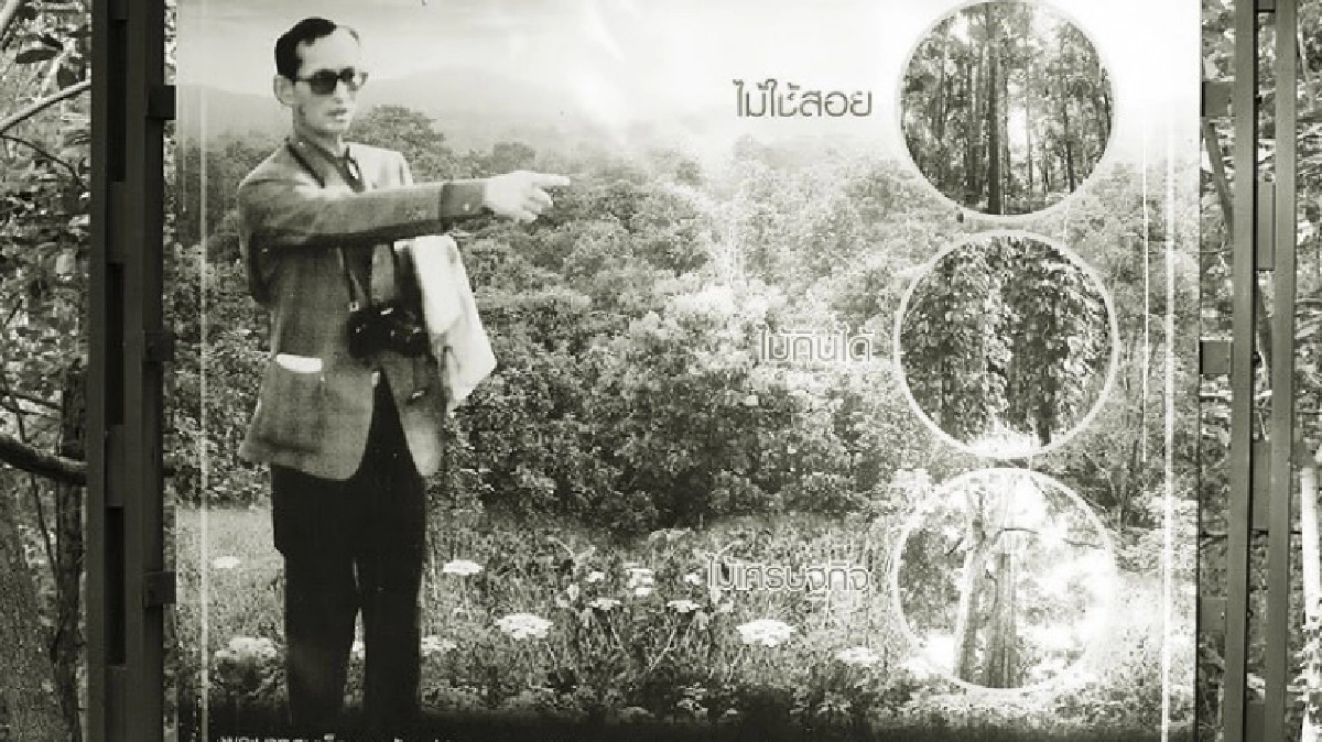 ฟื้นฟูปฐพีไทยด้วยศาสตร์พระราชา : ป่า3อย่าง ประโยชน์4อย่าง ฟื้นฟูปฐพีไทยด้วยศาสตร์พระราชา : ป่า3อย่าง ประโยชน์4อย่าง