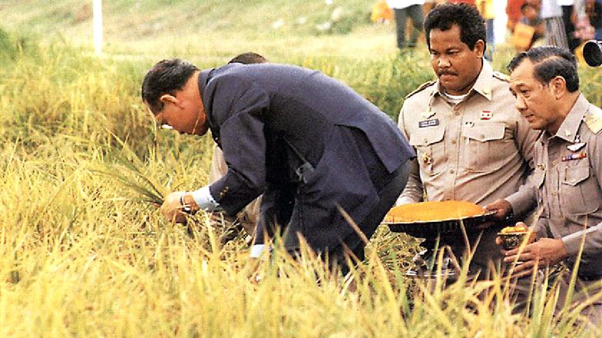 พ่อสร้างพ่อทำ ธ มิ่งขวัญกสิกรรมไทย พ่อสร้างพ่อทำ ธ มิ่งขวัญกสิกรรมไทย